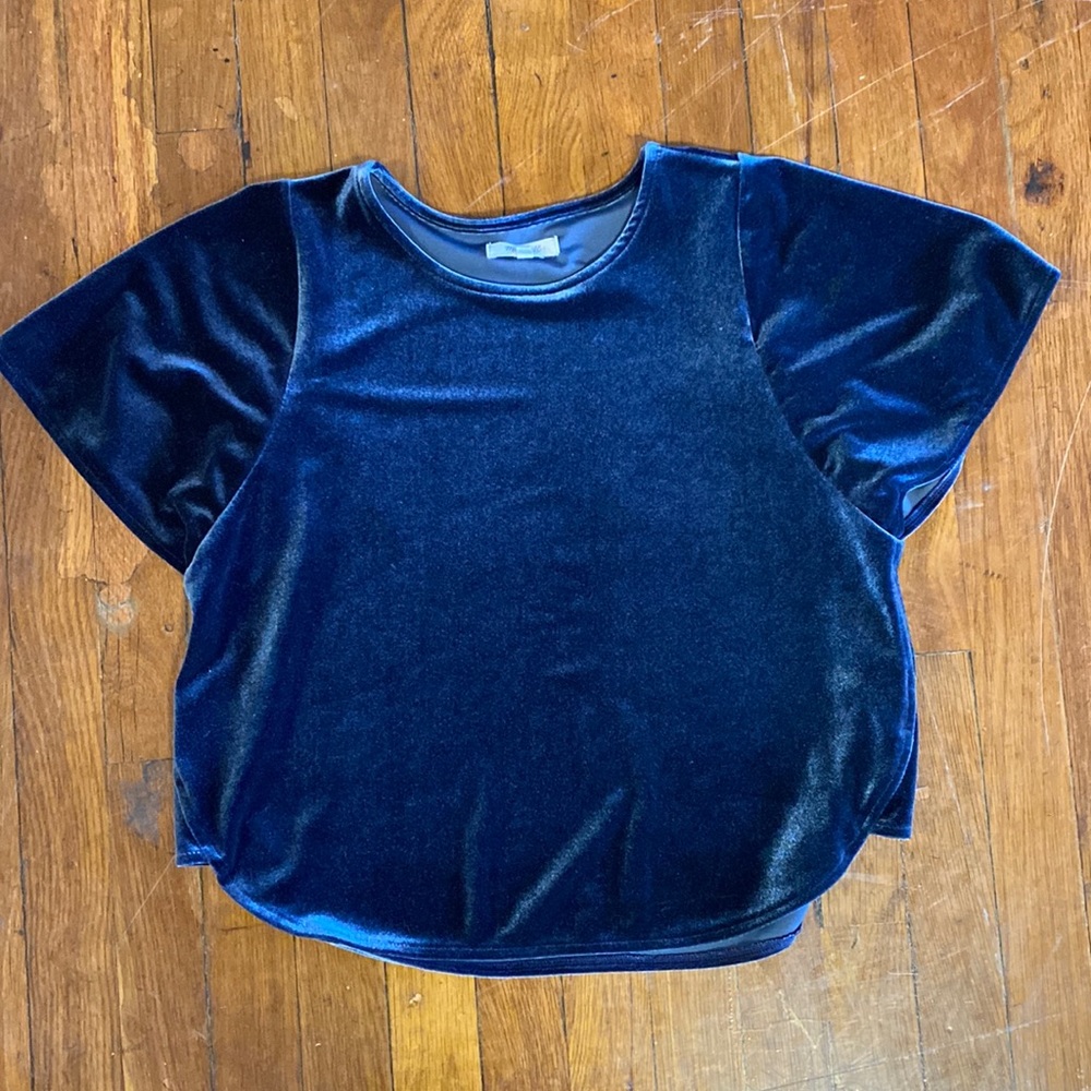 NWT Madewell Blue Velvet Butterfly Top